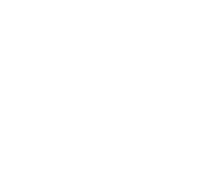 Elos Vitalis